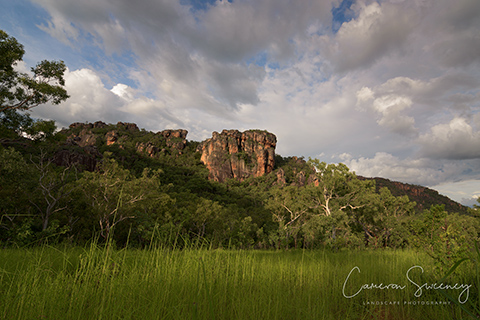 Kakadu