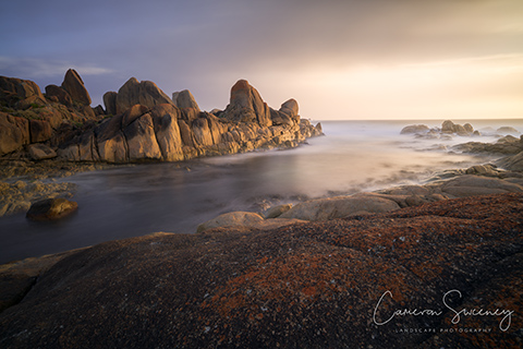 Tarkine Coast