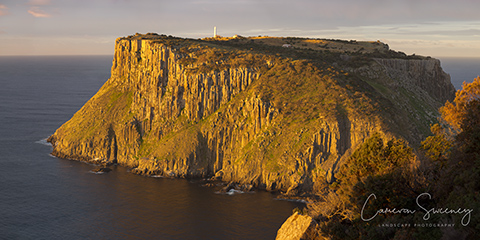 Tasman Island